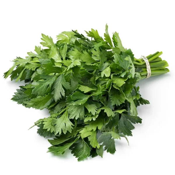 Parsley -1BUNCH
