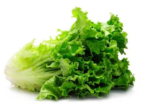 Soft Lettuce - Per Piece